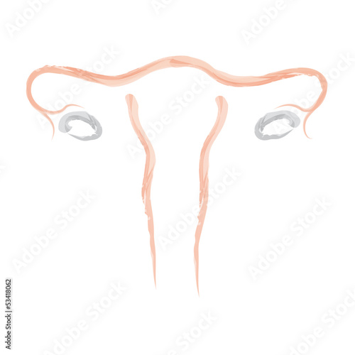 Uterus Abstractus