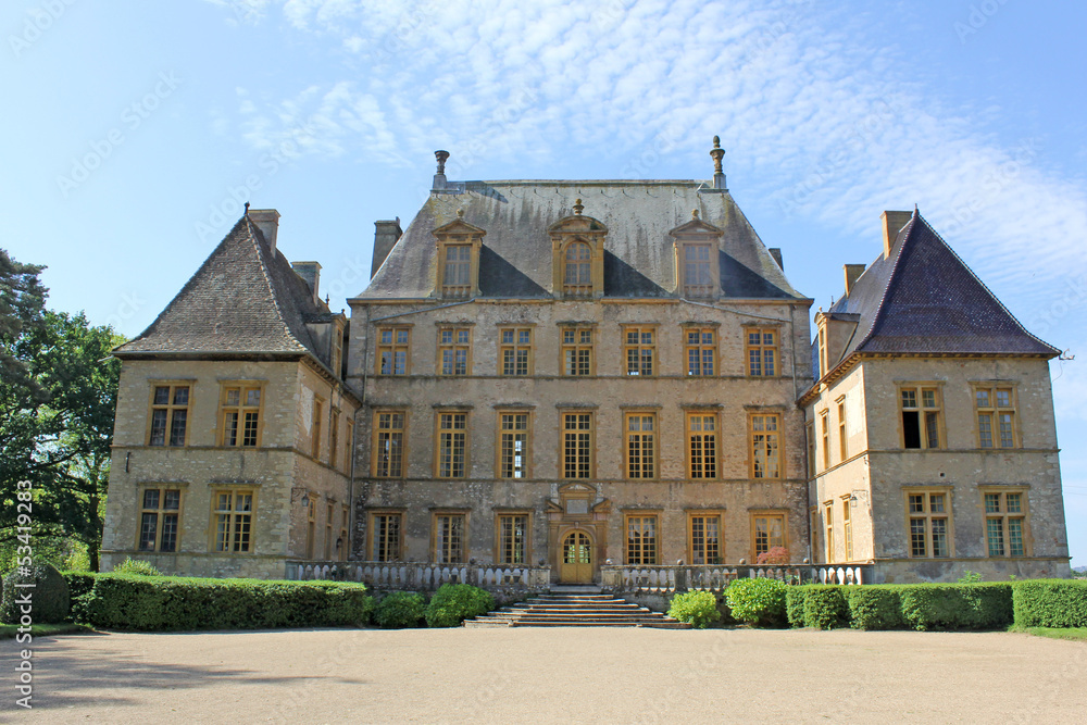 Cour chateau de fléchéres