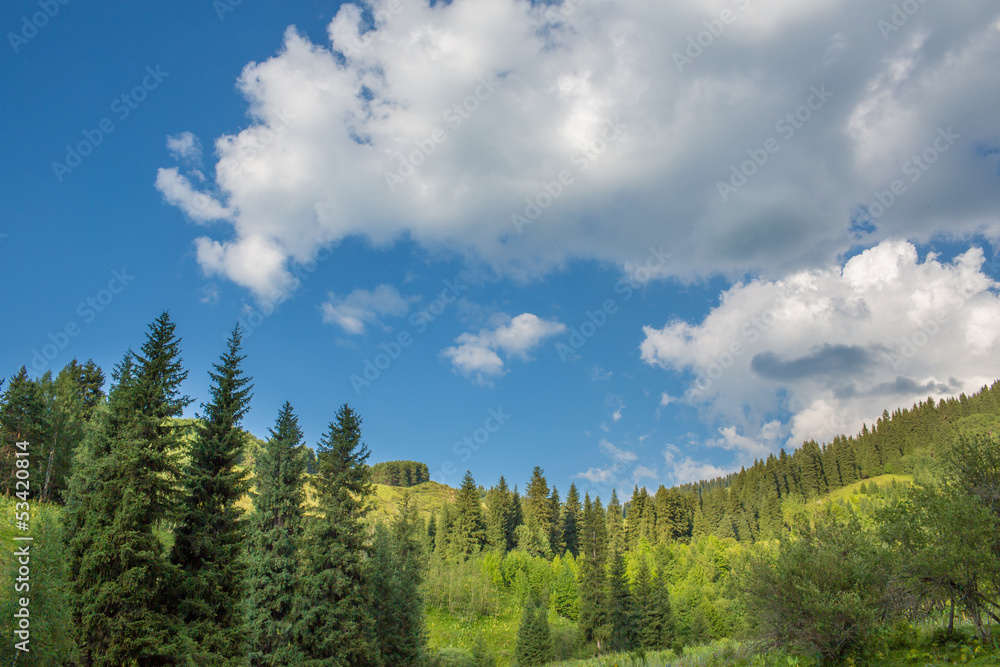 Nature of  green trees and blue sky, near Medeo, Kazakhstan