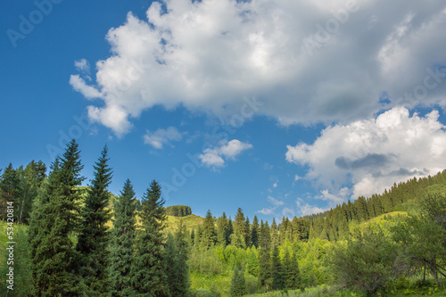 Nature of green trees and blue sky, near Medeo, Kazakhstan