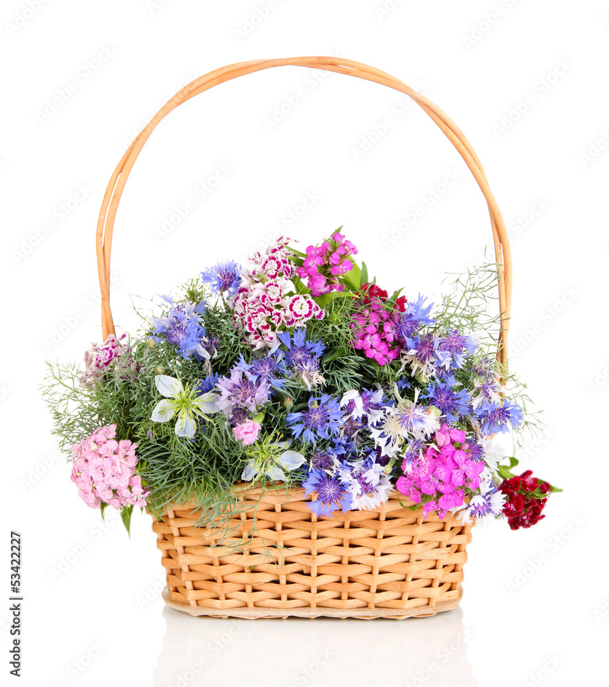 Beautiful bouquet in basket isolated on white Beautiful bouquet in basket isolated on white