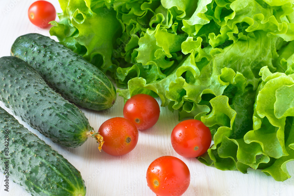 Fresh lettuce salad leaves bunch, cucumbers and tomatoes Fresh lettuce salad leaves bunch, cucumbers and tomatoes