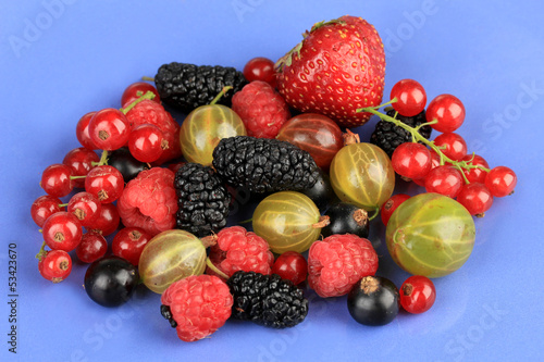 Fototapeta Naklejka Na Ścianę i Meble -  Ripe berries on blue background