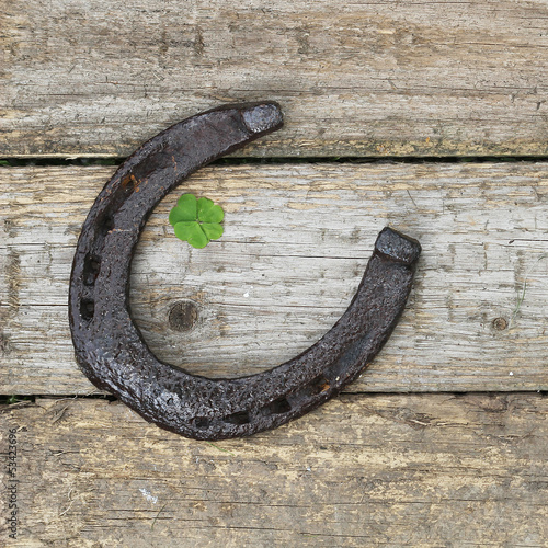Horse-shoe and clover, vintage symbols of luck