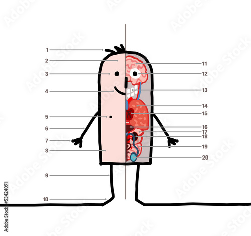 man & anatomy