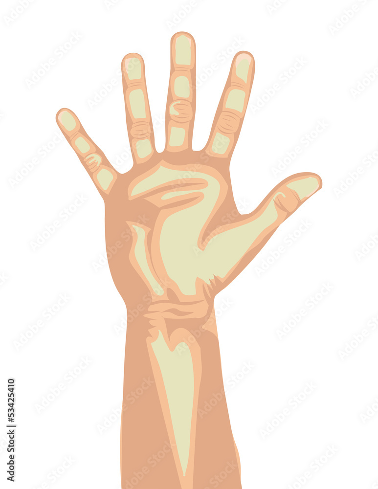 Fototapeta premium five