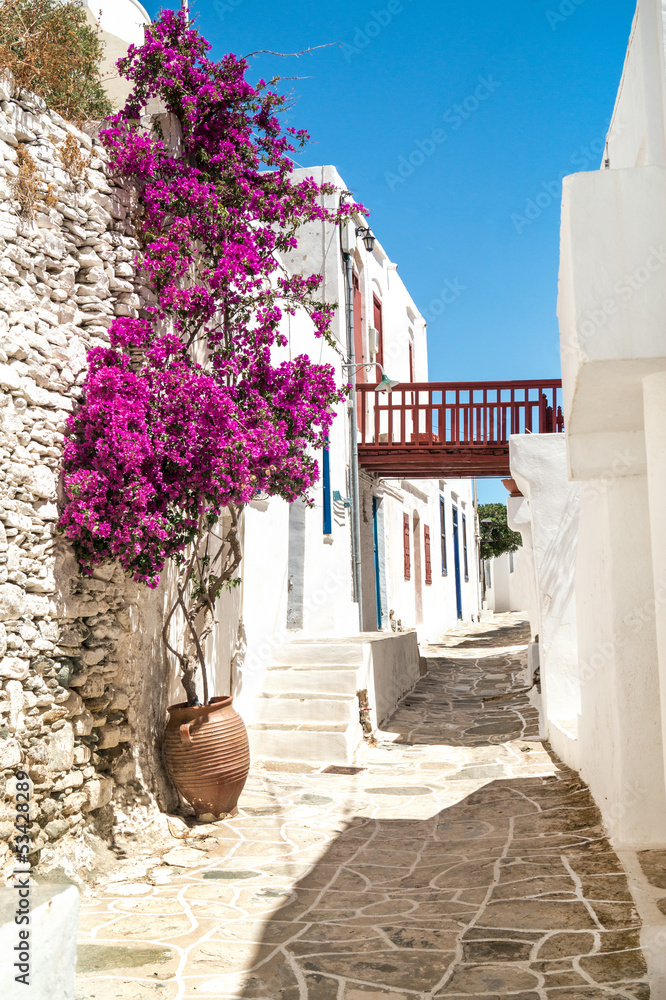 Fototapeta premium Tradycyjna grecka aleja na wyspie Sifnos, Grecja