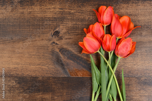 Fototapeta Naklejka Na Ścianę i Meble -  red tulips on wood