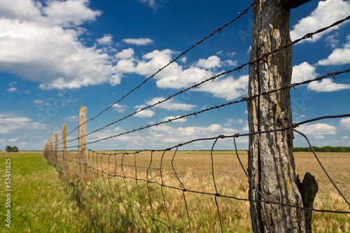 barbed wire fence in Kansas pasture field