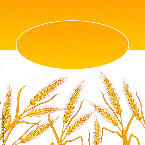 Wheat ear card.
