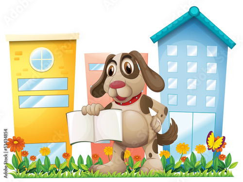 A puppy holding an empty book near the high buildings