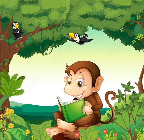 A monkey reading a book at the forest