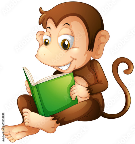 A monkey sitting while reading a book