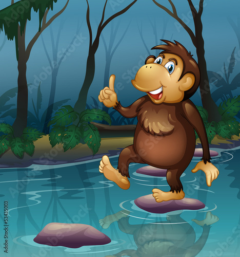 A monkey in the pond