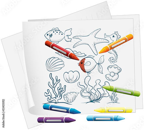 A paper with the different sea creatures and crayons