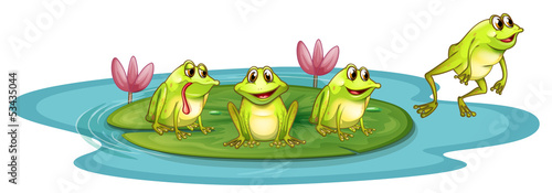 Obraz na plátne Frogs in the pond