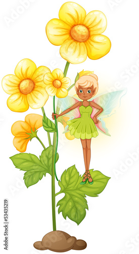 A sunflower with a fairy