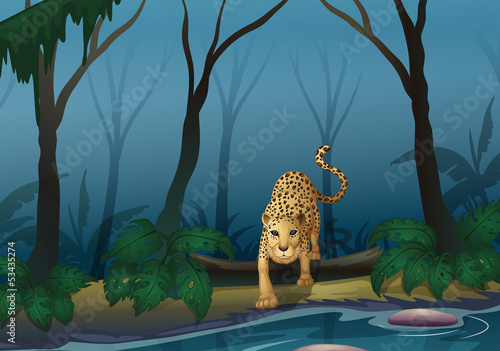 A leopard in the middle of the forest