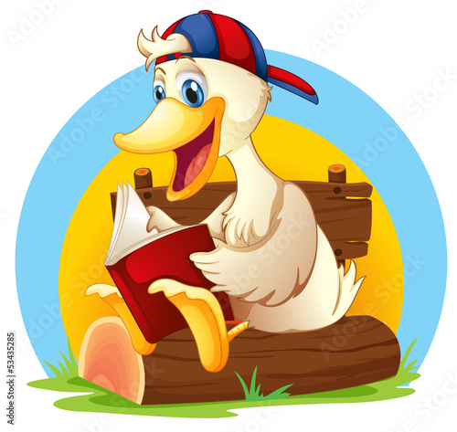 A happy duck reading