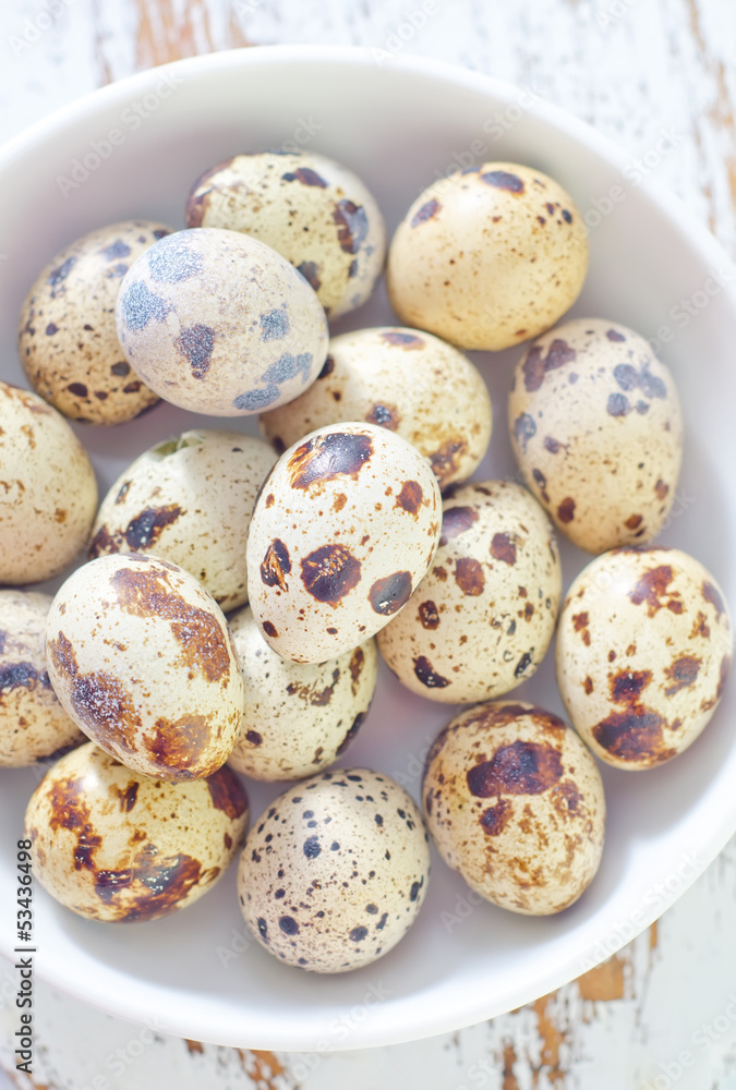Obraz premium quail eggs