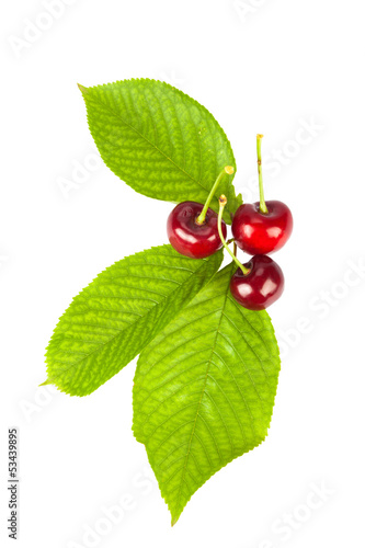 Cherries with leafs