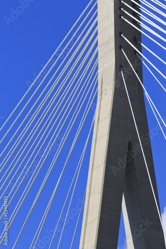 Abstract Cable stayed bridge