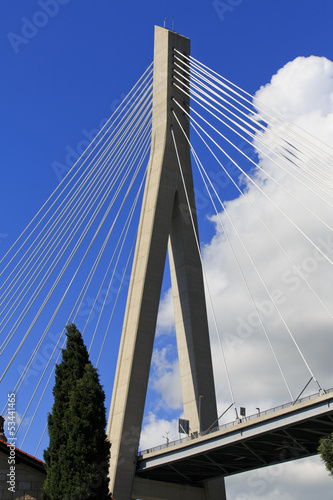 Cable stayed bridge © guppyimages