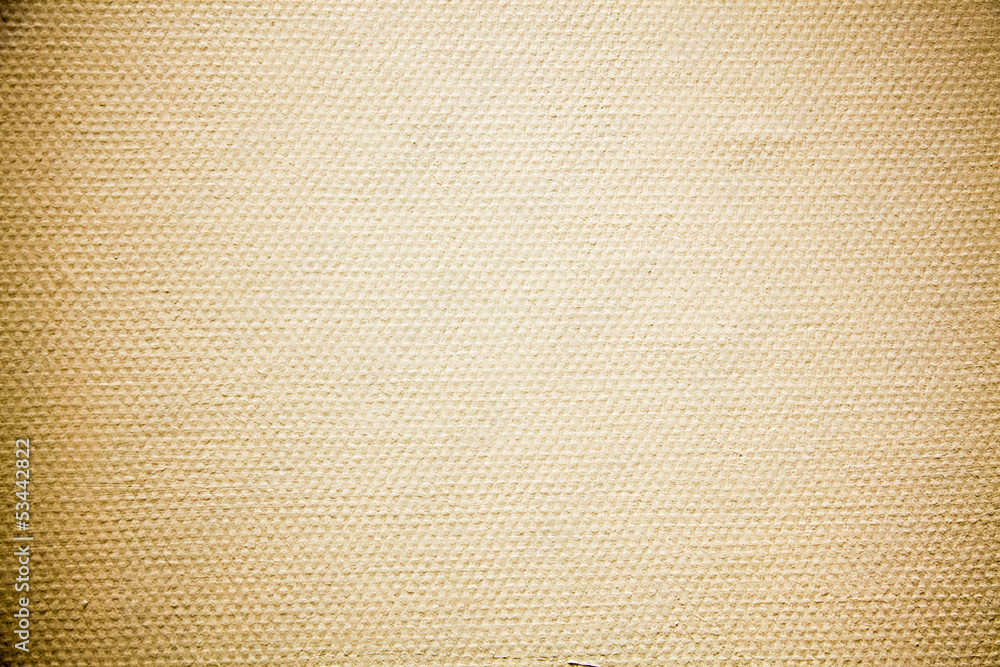 Fototapeta premium wall texture