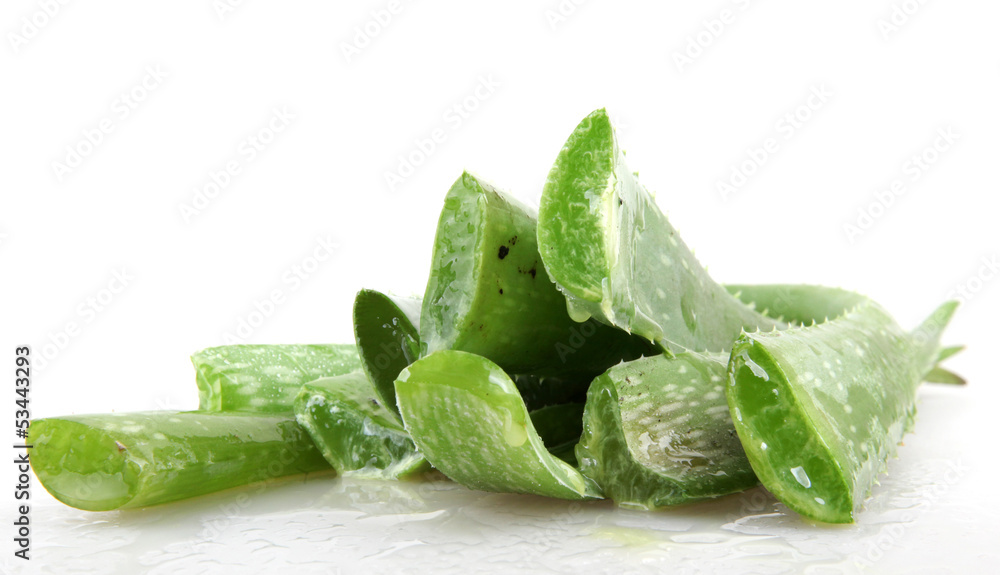 Fototapeta premium aloe vera