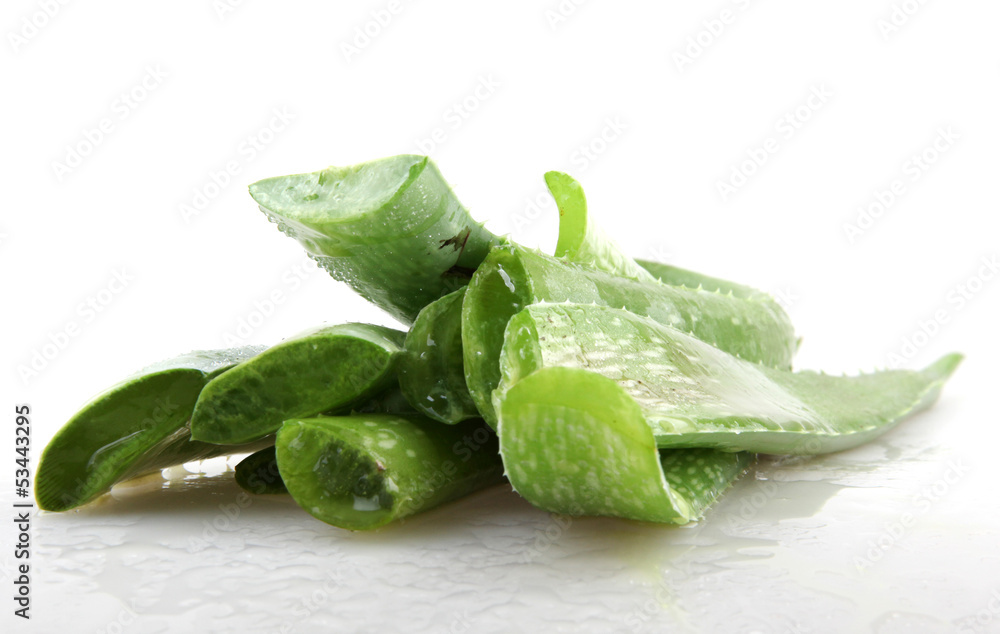 Fototapeta premium aloe vera