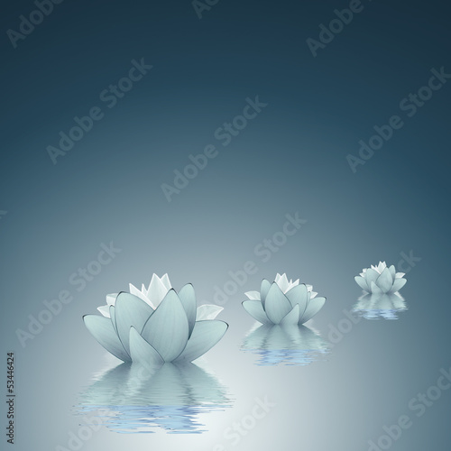 Lotus - Purity background