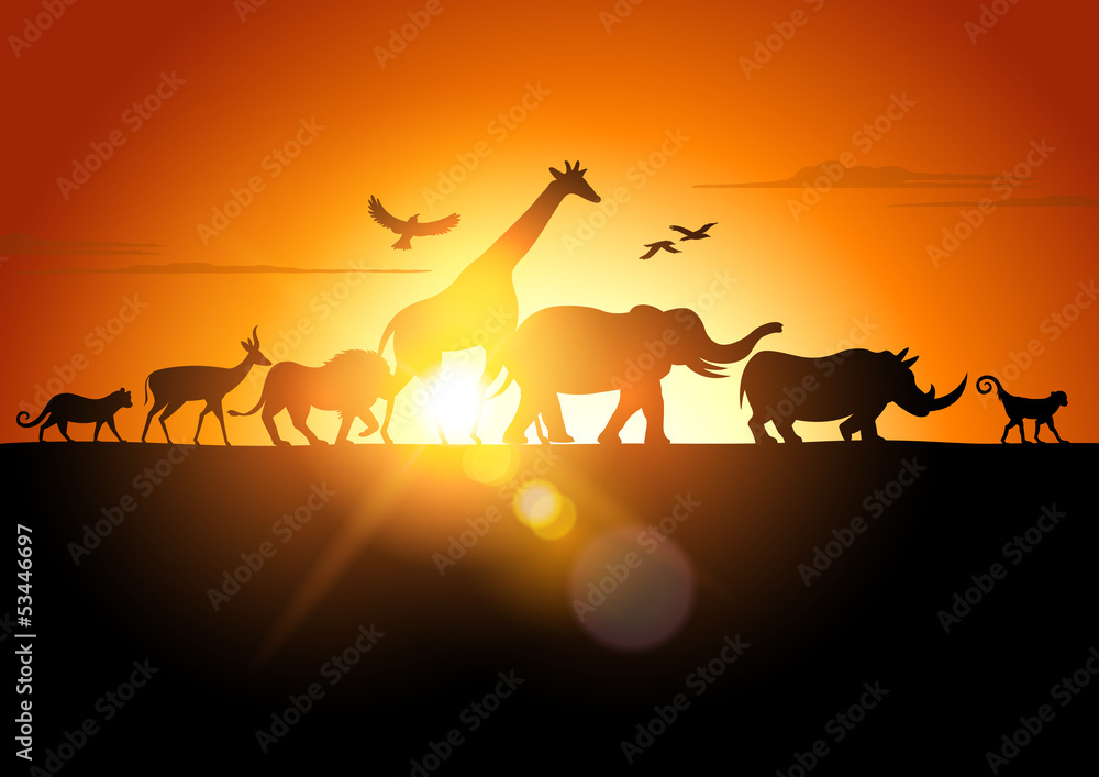 Fototapeta premium Sunset Safari