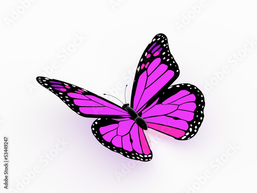 Butterfly pink rendered