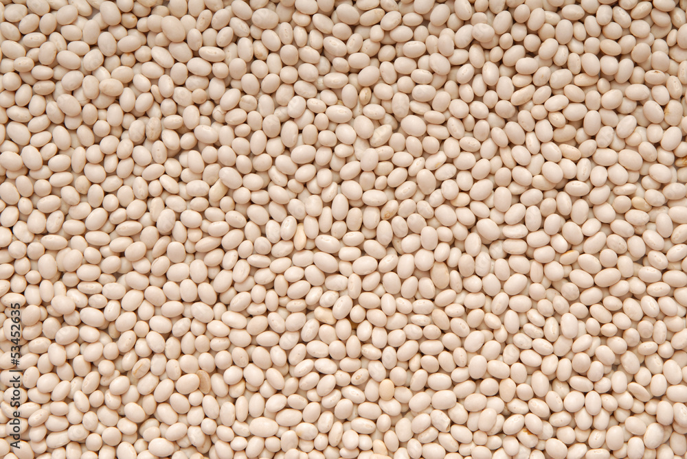 Texture background is out of white beans. Texture background is out of white beans.