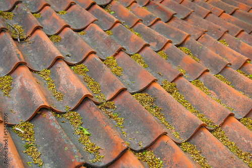 Old weathered roof in springtime