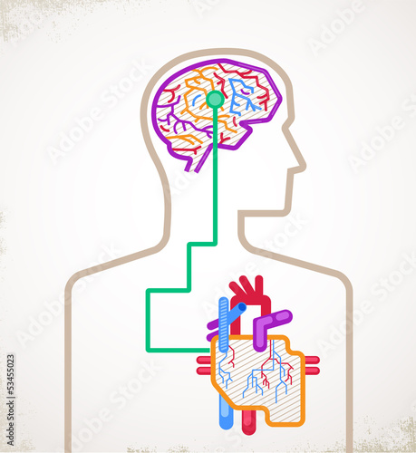 Brain and heart connected infographic