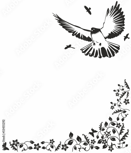 Black  dove