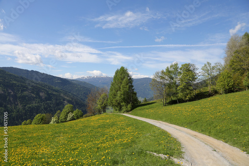 Wanderweg in der Steiermark