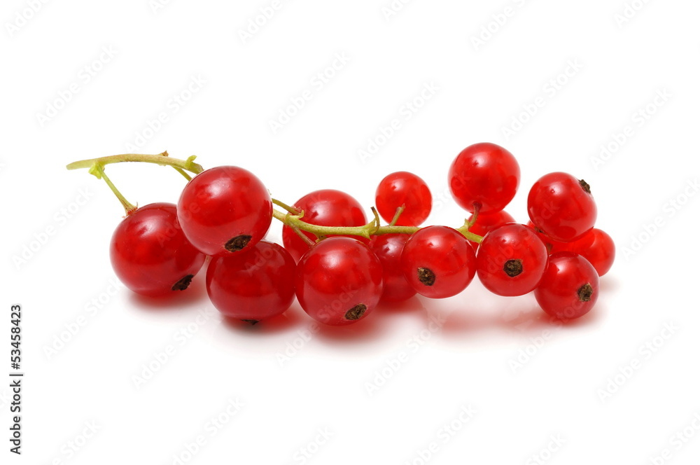 red currants isolated on white