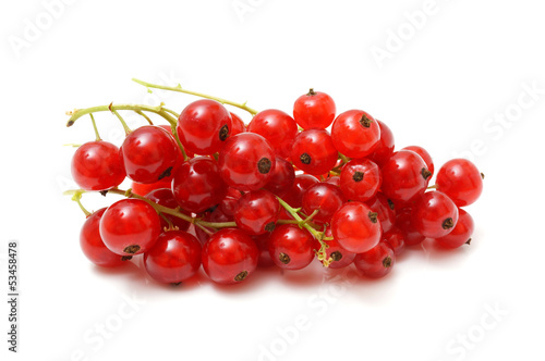 red currants isolated on white