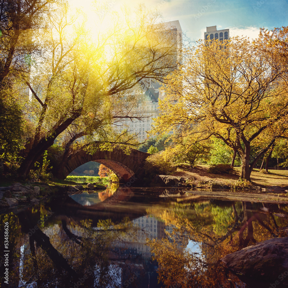 Central Park pond and bridge. New York, USA. - obrazy, fototapety, plakaty 