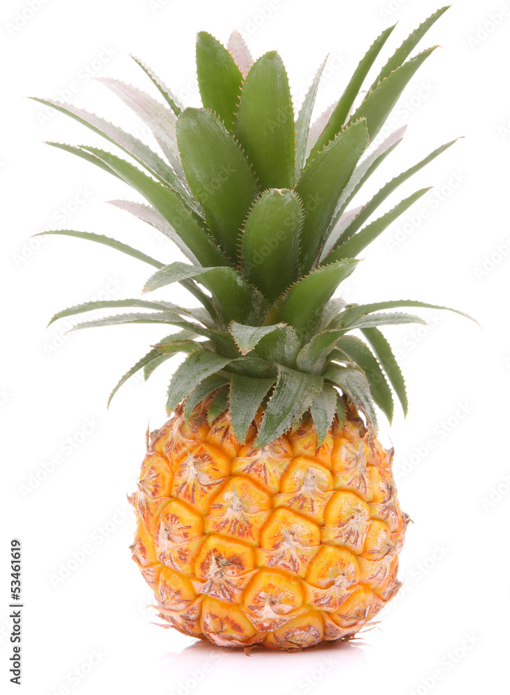 Pineapple tropical fruit or ananas Pineapple tropical fruit or ananas