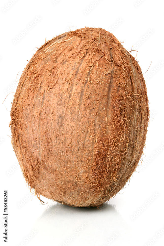 Coconut Coconut