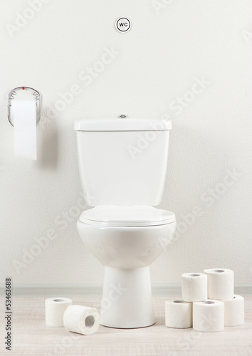 White toilet bowl with toilet paper in a bathroom