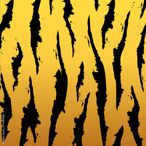 Vector black and orange stripped tiger design