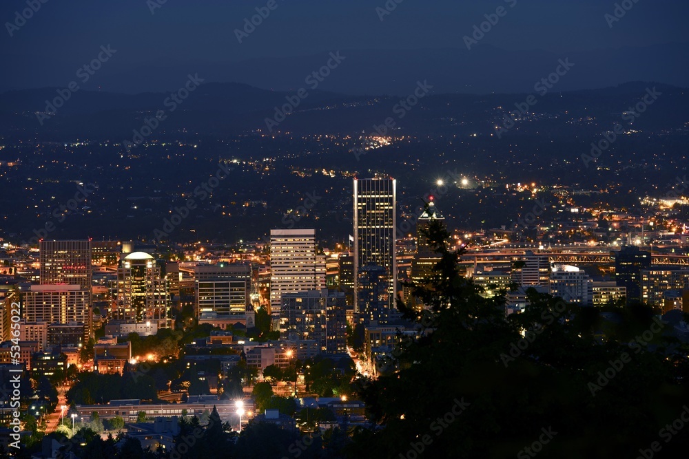 Portland Panorama at Night