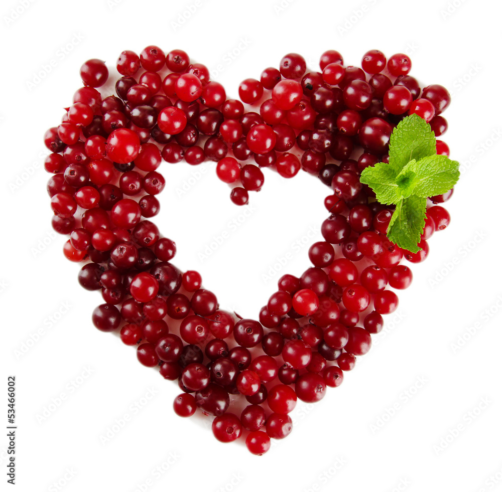 Ripe red cranberries, isolated on white. Ripe red cranberries, isolated on white.