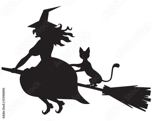 Obraz na plátne Witch on a broom and cat
