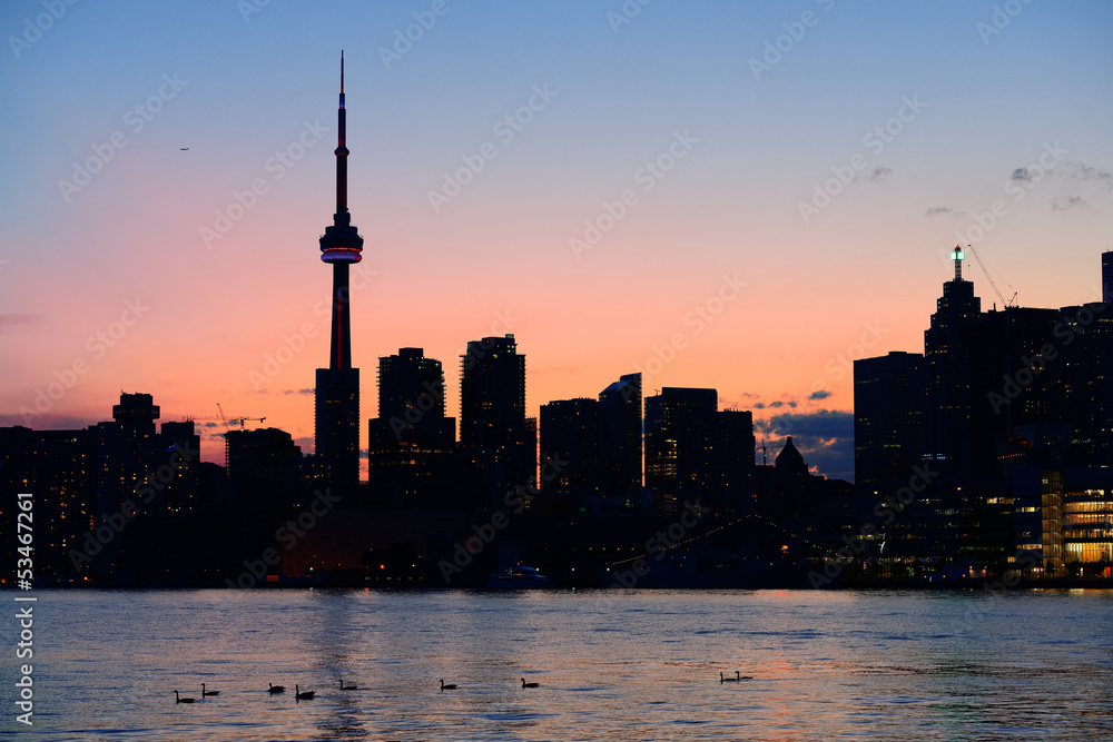 Obraz premium Toronto silhouette
