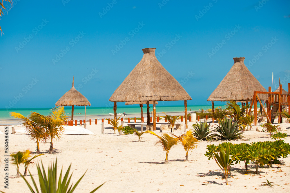 Fototapeta premium Luxury hotel at tropical resort on ocean shore with palm trees